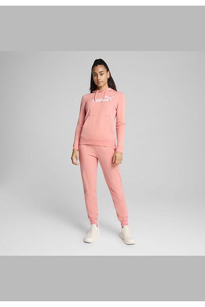 Puma Ess No. 1 Logo Hoodie