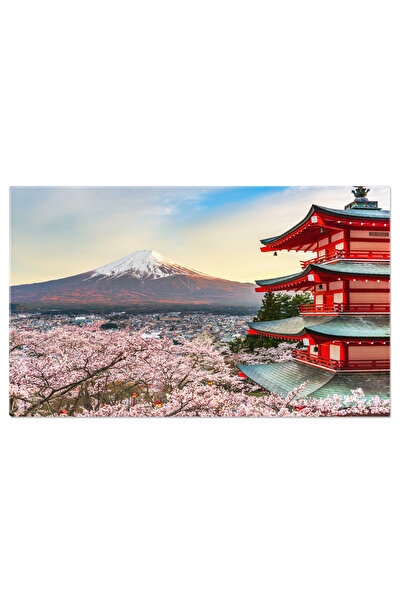 StoryGift Romania Tablou Canvas: Japonia in Flori - Ciresii Infloriti, Peisaj...