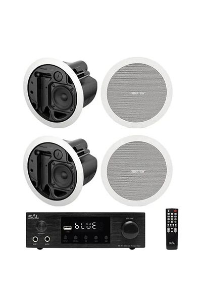 Bose Bose Freespace FS2C ceiling speaker audio system with Bluetooth, USB, FM