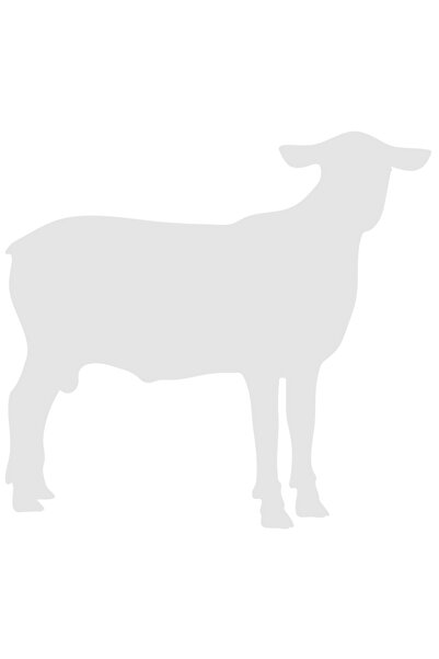 StoryGift Romania Sticker Adeziv 90CM Exterior cu o caprita - animal domestic...