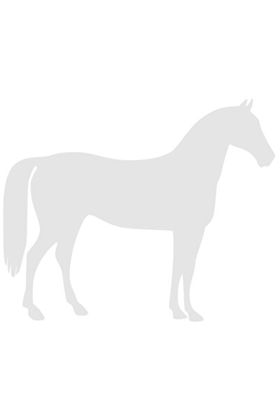 StoryGift Romania Sticker Autocolant 70CM Exterior cu un cal - pentru pasiona...