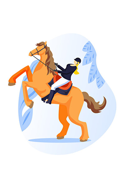 StoryGift Romania Sticker Autocolant 70CM Cu Cal, Calarie, Calaret, cu Margin...