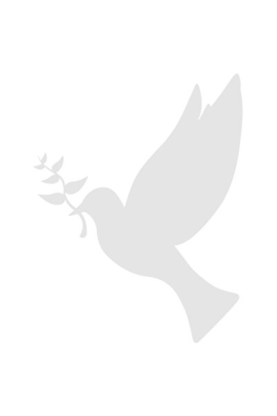 StoryGift Romania Sticker Autocolant 30CM Exterior cu un porumbel care zboara...