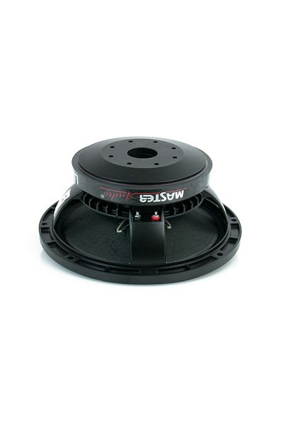Master Audio Difuzor 10 inch Master Audio LSN10-8, 300W