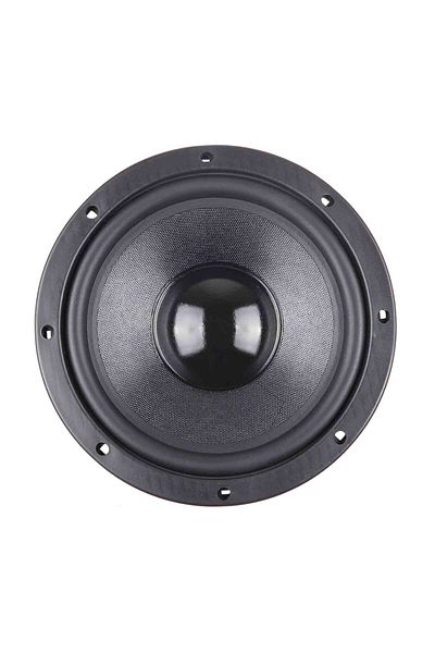 Master Audio MA20W-4+4, 8 inch dual voice coil speaker