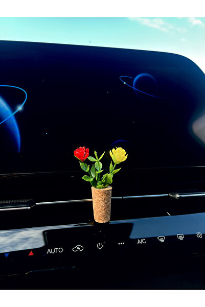 Mi-ÇA HOME Gs Taraftar Araç Kokusu | Dekoratif Mini Saksı Çiçek Klima Süsü|sa...