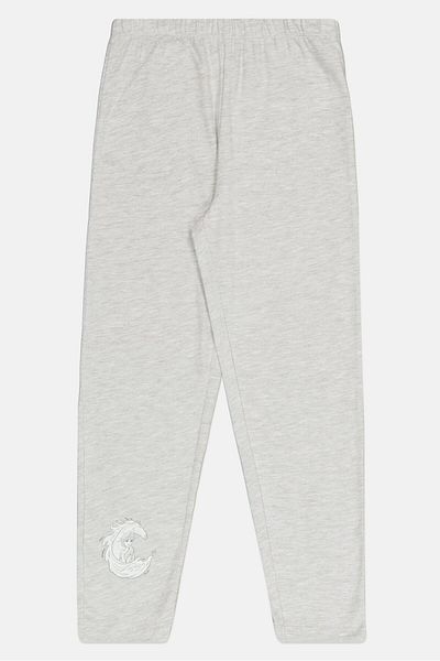 Disney Kids Girl 2 Pieces Frozen Elsa And Anna Pajama Set, Light Grey