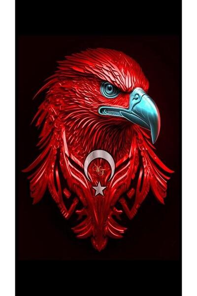 Pastelya Sayılarla Boyama Seti Çerçeveli Kasnaklı Kartal 3 40x50 cm