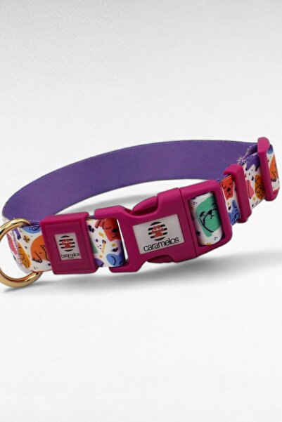 CARAMELOS İSİMLİ KÖPEK TASMASI, İSİMLİ TASMA, ORTA VE BÜYÜK IRK TASMA, KÖPEK TASMA, KİŞİYE ÖZEL TASMA, 2,5 CM