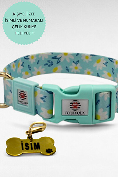 CARAMELOS İSİMLİ KÖPEK TASMASI, İSİMLİ TASMA, ORTA VE BÜYÜK IRK TASMA, KÖPEK TASMA, KİŞİYE ÖZEL TASMA, 2,5 CM