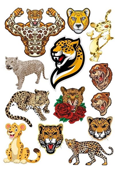 Reysa Tasarım مجموعة ملصقات النمر - 5 15 قطعة للهاتف والكمبيوتر اللوحي والكمب...