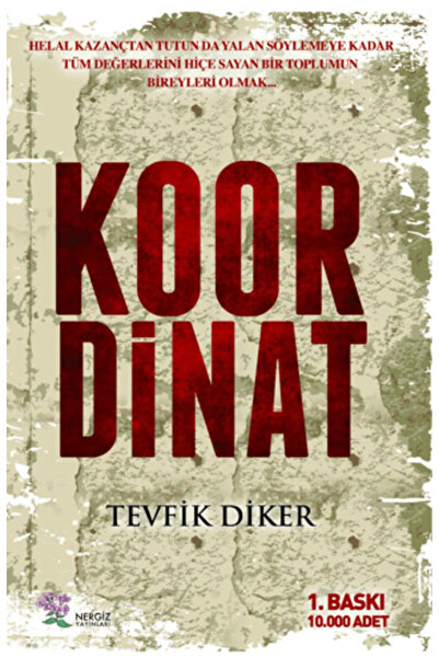 Nergiz Yayınları Koordinat