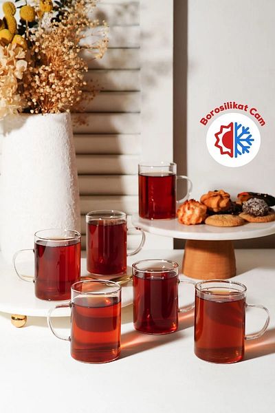 Kitchen Way 6 Pieces Luxury Thin Fire Resistant Thermisil Borosilicate Glass Mug Cup Kw-717