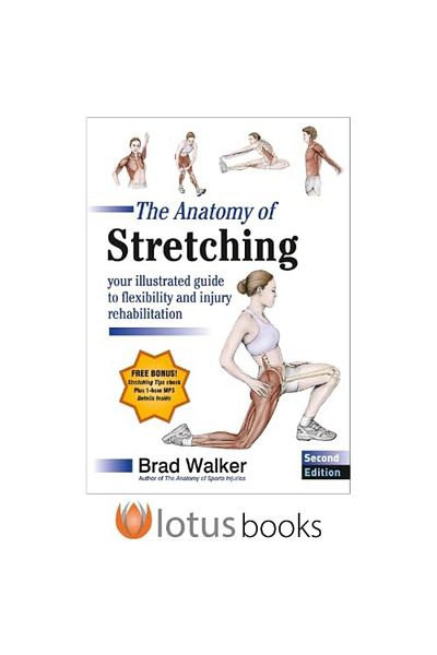 Human Kinetics Publishers The Anatomy Of Stretching Your Illustrated Guide To Flexibility And Injury Rehabilitation