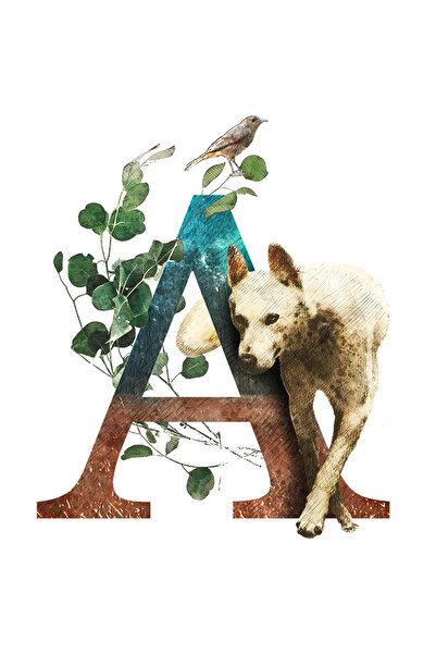 StoryGift Romania Sticker Autocolant 70CM Cu Catel, Litera, A, Pasare, Fruze, cu Margini Albe, PVC Vinyl 70 cm