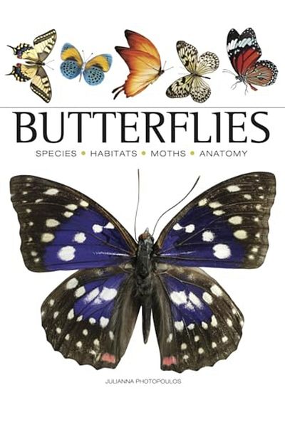 Amber Books الفراشات