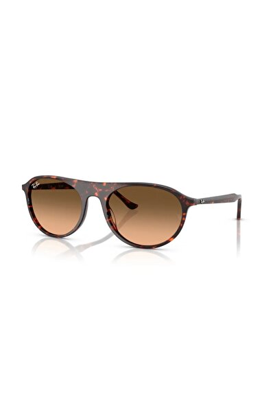 Ray-Ban Ray Ban RB2215 1429/3B 56 güneş gözlüğü