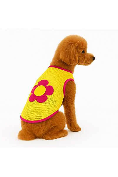 DOGİ&DOG دوجي آند دوج سلالة صغيرة صفراء مزهرة شبكية للقطط والكلاب (0.5-10 كجم)