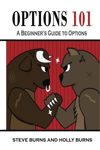 Createspace Independent Publishing Platform Options 101 A Beginners Guide To Trading Options In The Stock Market
