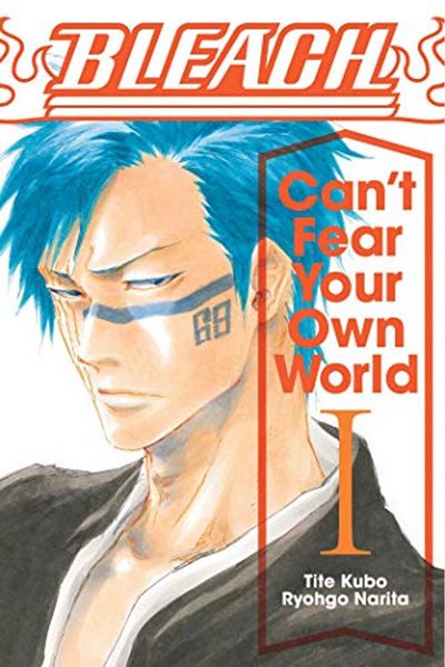 Viz LLC Bleach Cant Fear Your Own World Vol 1