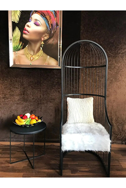 SEZBİL Berjer Sandalye, Kuş Kafesi, (2 ADET) Kuaför Sandaleye, Cafe Retoran S...