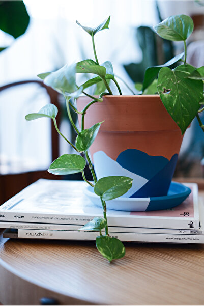 zef design store Terracotta Saksı+Tabak Mavi Konik 3 Boy (Küçük, Orta, Büyük)