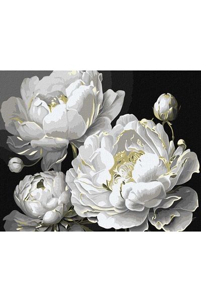dego Paint by numbers set, with frame, Impeccable beauty - metallic colors, 40x50 cm