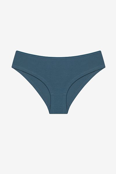 Penti Πολύχρωμο Hipster εσώρουχο Wildwood 5 Pack