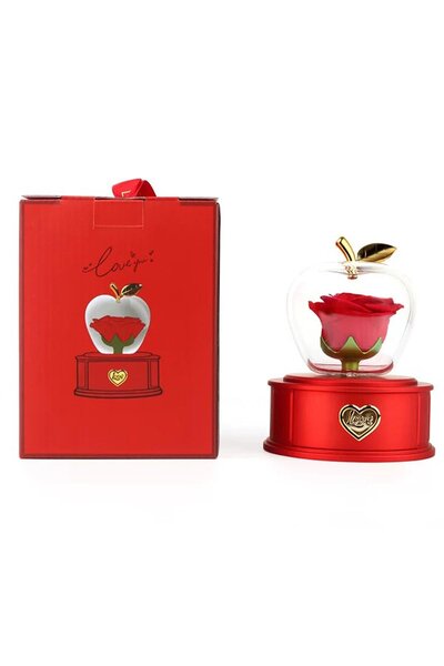 TAKIŞTIR Kırmızı Renk Gül Detaylı Yüzük Kutusu Sevgililer Günü Hediyesi/ Sevg...