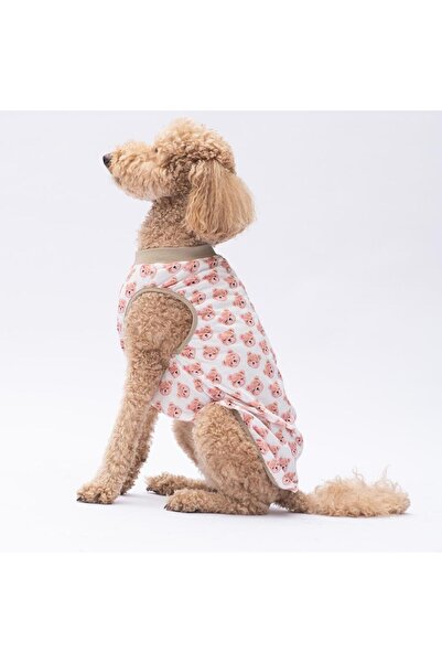 Pawstar Cute Bears Büyük Köpek Tişörtü - Köpek Kıyafeti (15 KG-45 KG)