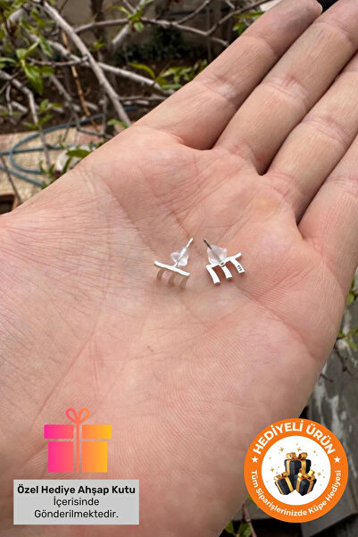 Lucente Jewellery Özel Hediye Kutulu 925 Ayar Gümüş Kaplama 777 Melek Sayısı Küpe