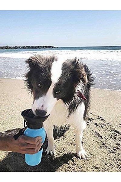 zola Portable dog bottle, 2in1, drinking bottle and water bowl, blue/black, 500 ml