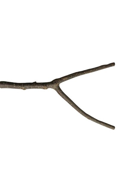 Beaks Beak's Doğal Dal Tünek – 2 – 37,5 cm