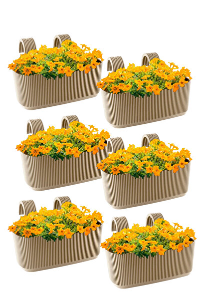 TEMMUZ HOME 6 Adet Karasu Plastik Pera Askılı Balkon Saksısı(Plastik kelepçeli)