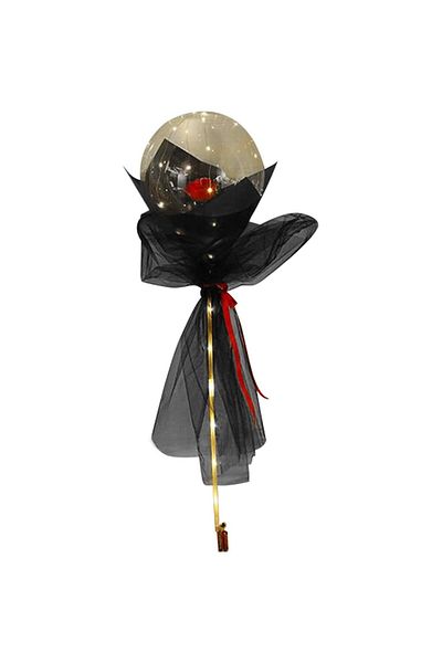 Teo Decorative Bouquet Set, Rose in Balloon with Led Lights, Diameter 35 cm, 2 x AA Batteries (not included)