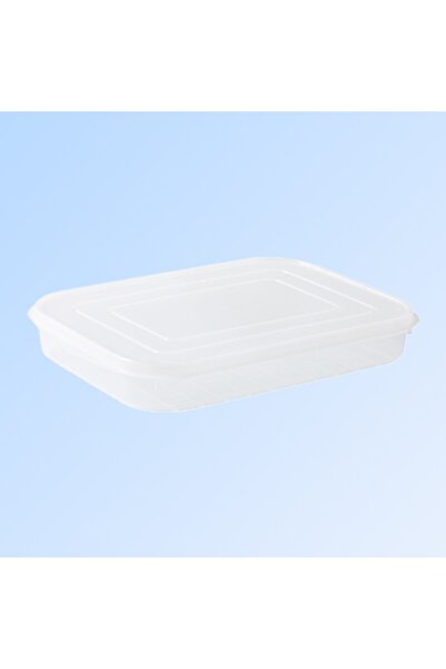 Flippy household food storage container, refrigerator, moisture-resistant, airtight, 24.5×18.5×3.5