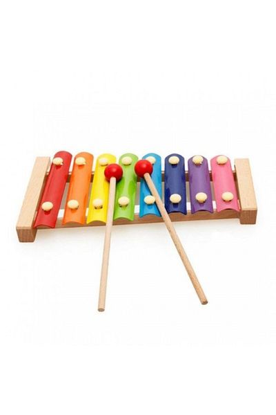 Flippy Instrument muzical xilofon, din lemn, multicolor