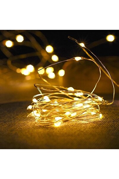 Flippy Instalatie Craciun, 2 m, Alb Cald, 20 Led-uri, Baterii,