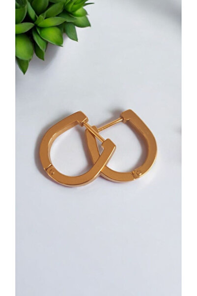 İNİTİUM Stainless Steel Gold Nal Earrings