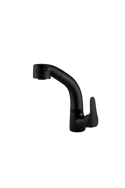 Blackswan Design Bathroom sink faucet, Blackswan, Type M176, matte black model with retractable spout, 24 cm