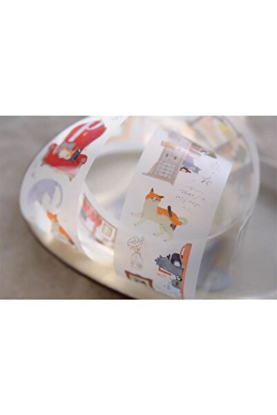 İthal K3-90cm Ours studio life with cat PET tape