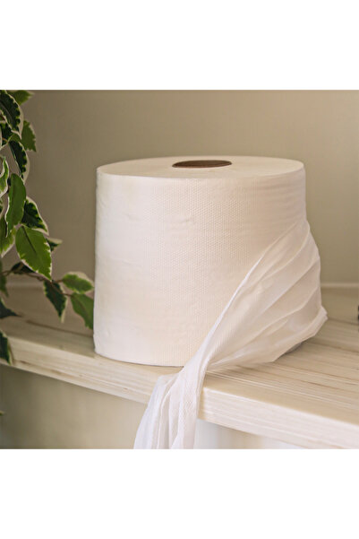 regine ماكس رول ريجين | 300متر | 6 حبات