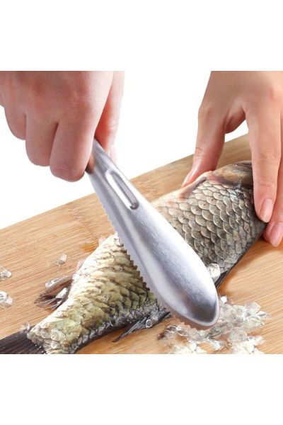 Generic Stainless Steel Fish Scaler - 24cm