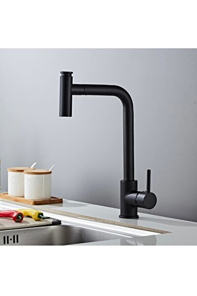 İyem Kitchen Faucet with Extendable Hose Kitchen Spiral Stainless Matte Black