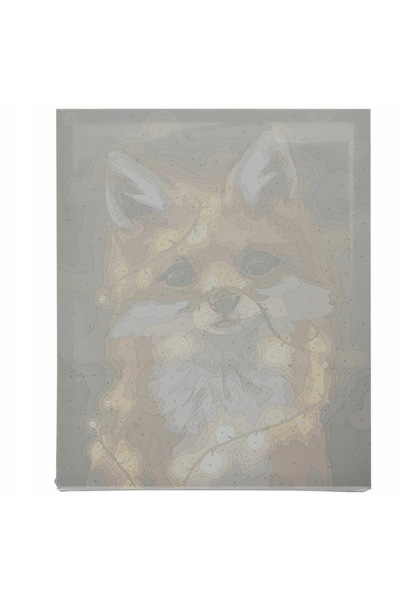 zola Σετ ζωγραφικής με αριθμούς για παιδιά και ενήλικες με ακουαρέλες, καμβάς 40×50 εκ., Fox με εγκατάσταση