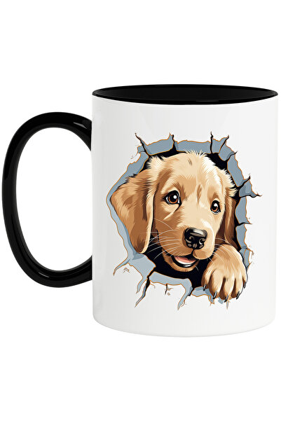 StoryGift Romania Cana cu Golden Retriever care scoate capul prin zid, caine,...