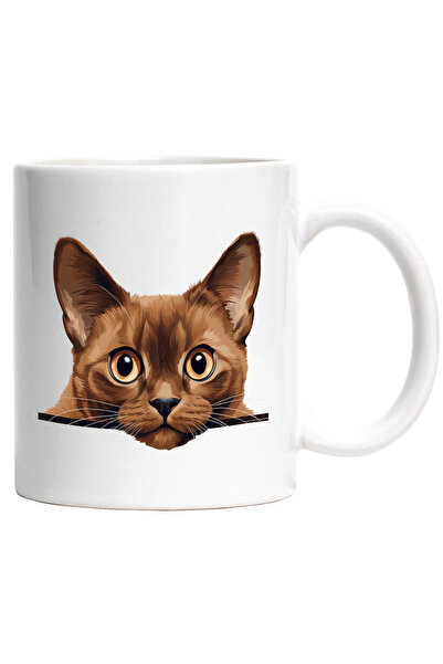 StoryGift Romania Cana cu o pisica surprinsa | privire patrunzatoare | ilustr...