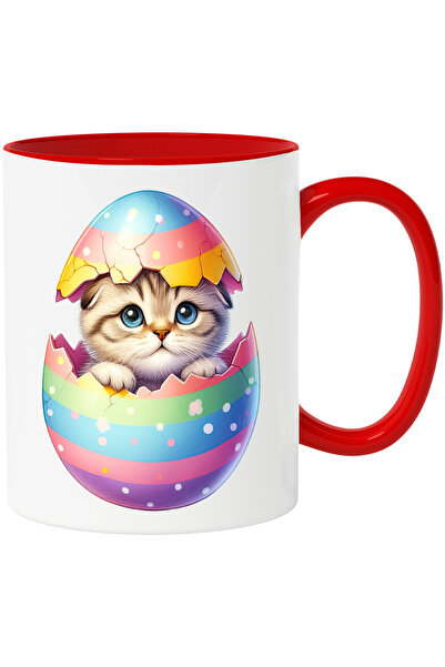 StoryGift Romania Cana cu o pisicuta timida care iese dintr-un ou spart | ilu...