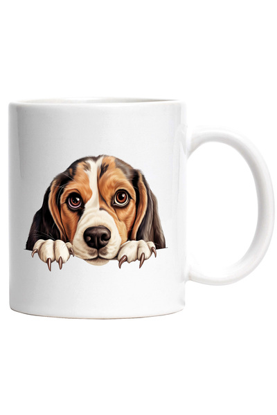 StoryGift Romania Cana cu un catel care isi asteapta stapanul | ilustratie | ...