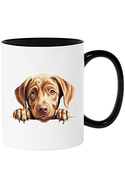 StoryGift Romania Cana cu un caine care priveste surprins | ilustratie | pent...